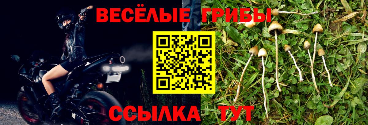 Ноябрьск  Галлюциногенные грибы мицелий  Галлюциногенные грибы GOLDEN TEACHER  Вход с VPN 